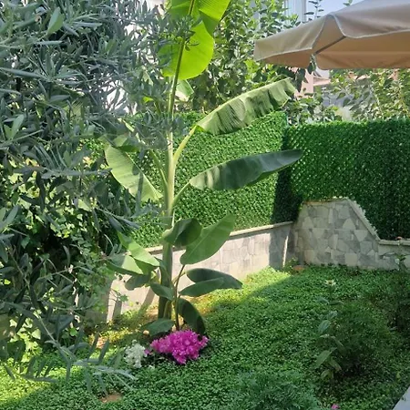 Your In Kusadası